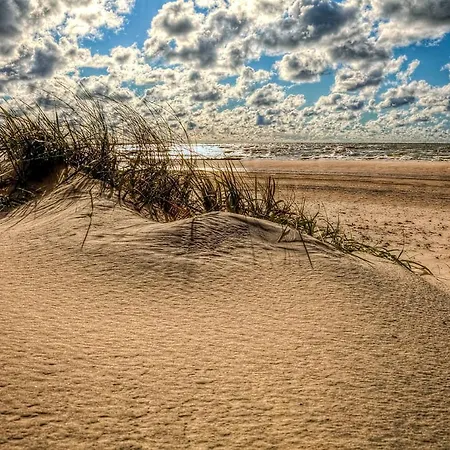 Apartment Sunset With Underground Parking