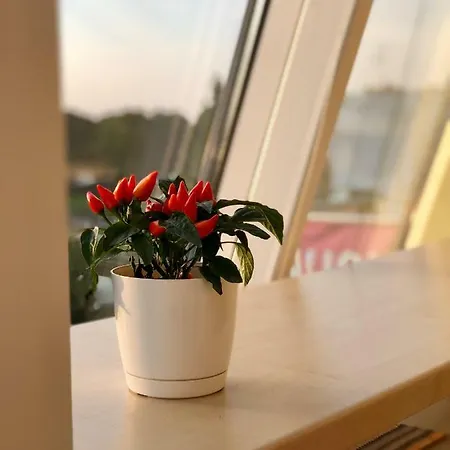 Apartment Sunset With Underground Parking