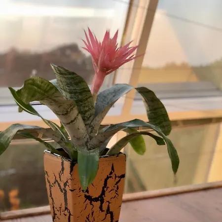 Sunset With Underground Parking Apartment