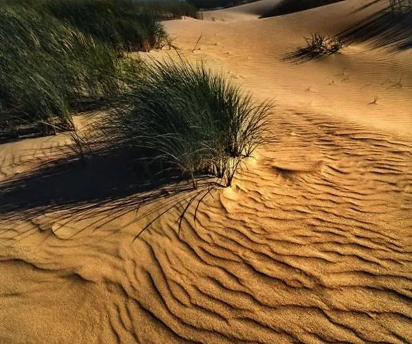 Sunset With Underground Parking דירה