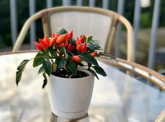 Apartman Sunset With Underground Parking Palanga