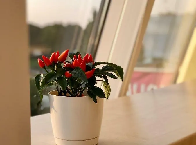 Apartman Sunset With Underground Parking