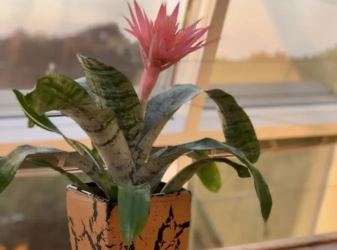 Sunset With Underground Parking Apartman